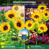 Waterproof Solar Sunflower Led Light for Outdoor & Gardan, Yard Decorations